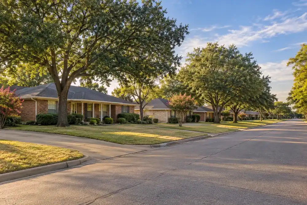 Illustration of a typical residential street in the Seagoville, TX area